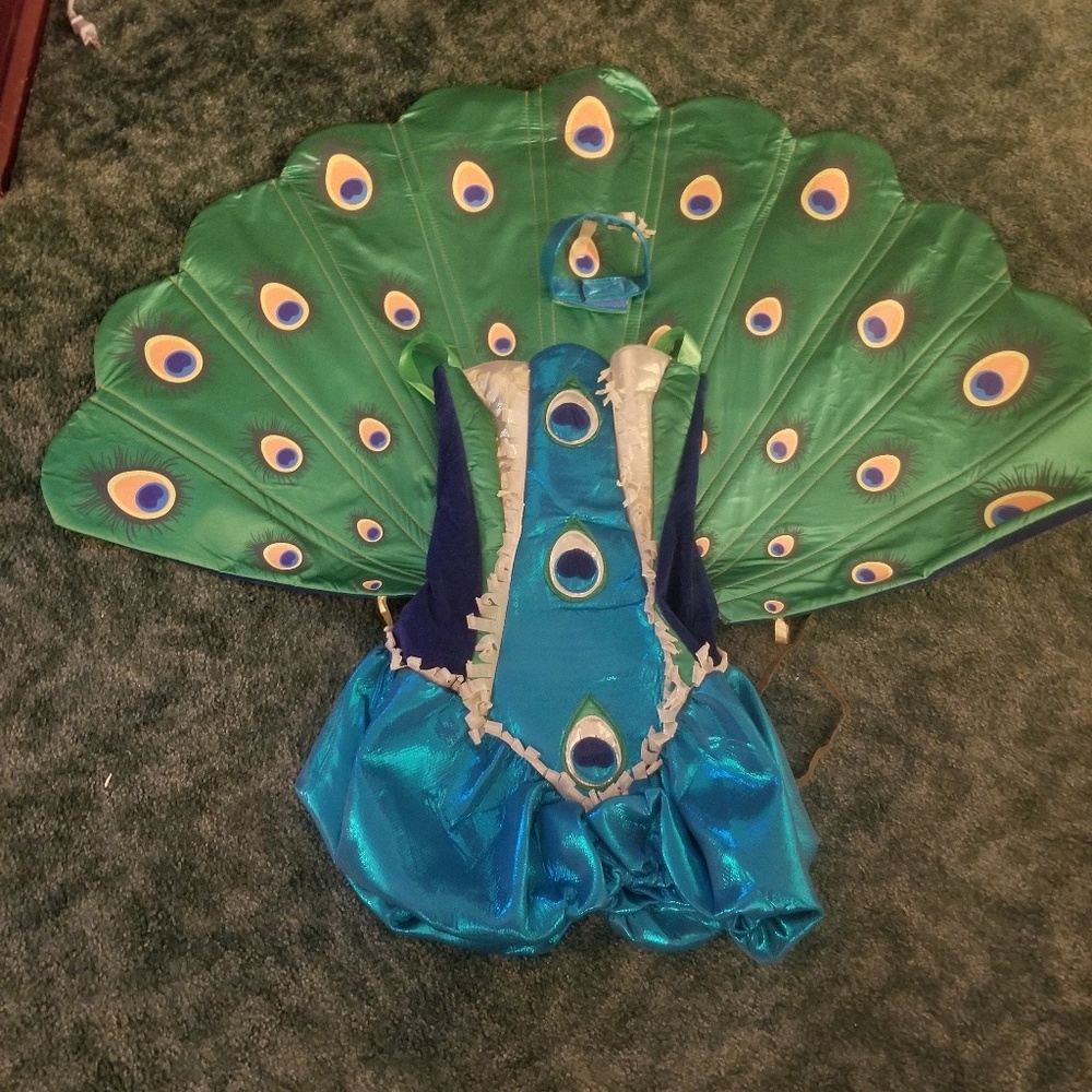 Peacock Halloween costume teen